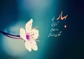 ۵۰ کپشن درباره فصل بهار برای استوری، بیو و پست اینستاگرام