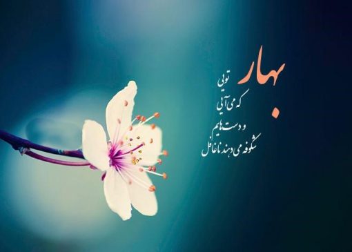 ۵۰ کپشن درباره فصل بهار برای استوری، بیو و پست اینستاگرام